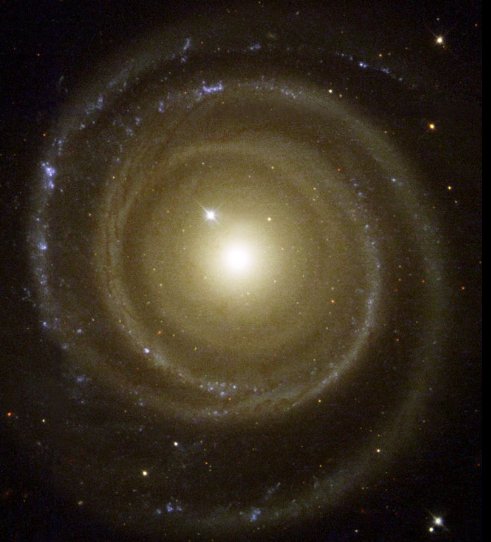 Question Image